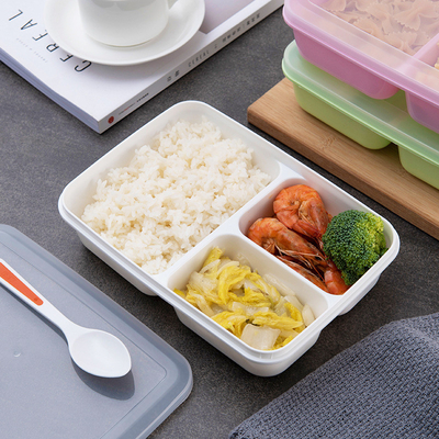 Çocuklar Yeniden Kullanılabilir Plastik Öğle Yemeği Kapları, BPA İçermeyen Bento Öğle Yemeği Kutusu